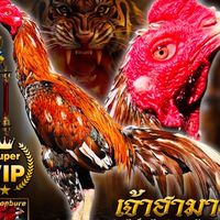 ซุ้ม ส.รูปหล่อ ป่าก๋อยแข้งสมัยใหม่