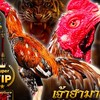 ซุ้ม ส.รูปหล่อ ป่าก๋อยแข้งสมัยใหม่