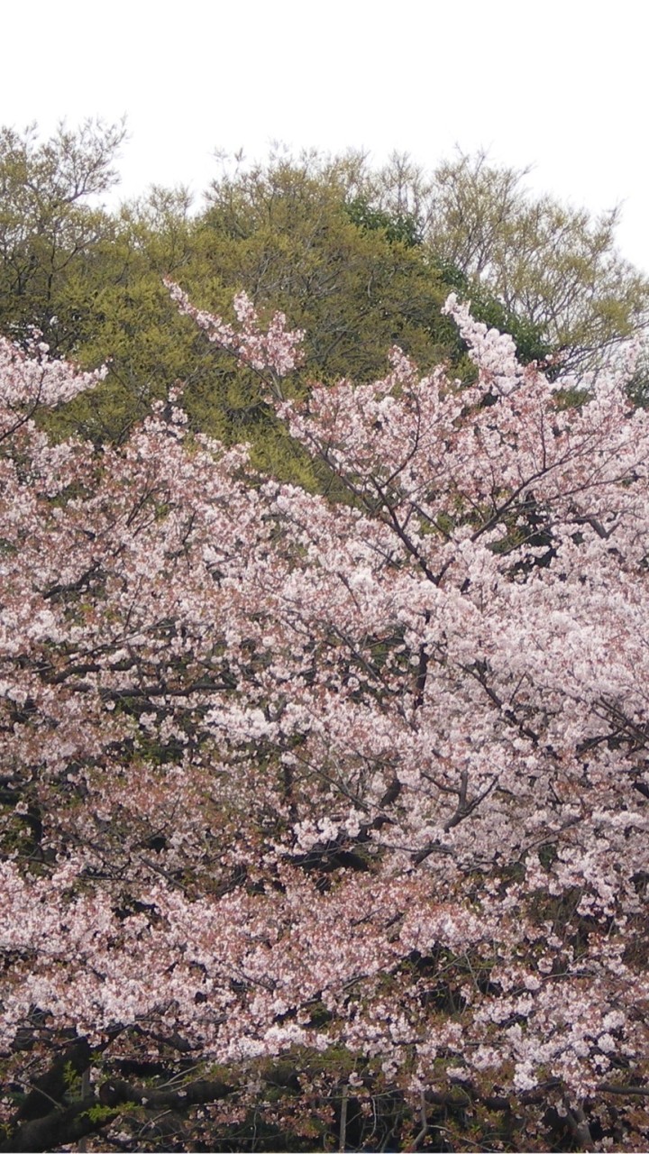 関幸睦の私室
