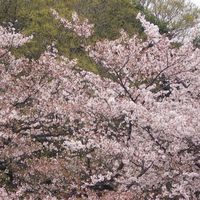 関幸睦の私室