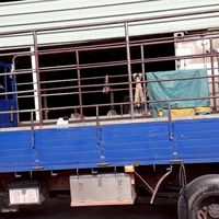專跑花東線~>>>>回頭車~