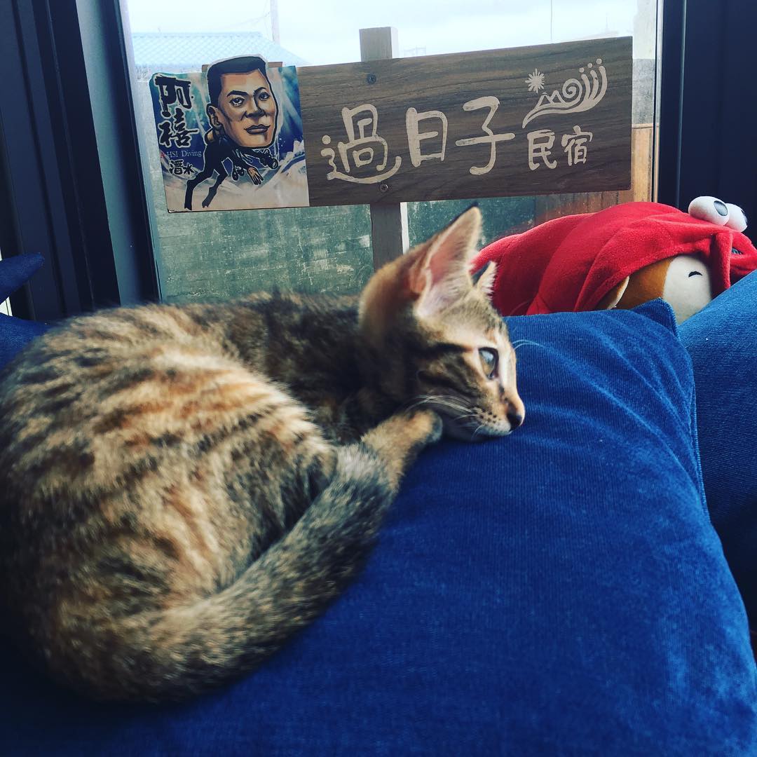 Copy Of 綠島過日子民宿 @living My Life Hostel6