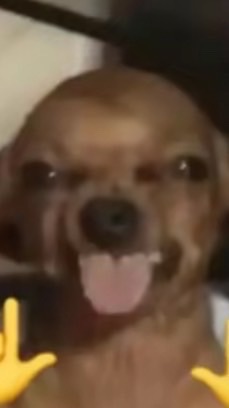 四葉草幼幼班🍀