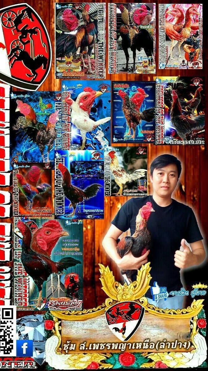 รับออกแบบโปสเตอร์