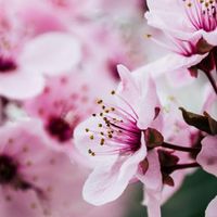 👠手機美顏參數公開🐤🐤台北市中山區中正區🦊🦊內湖區文山區友善者北投區松山區信義區南港區萬華