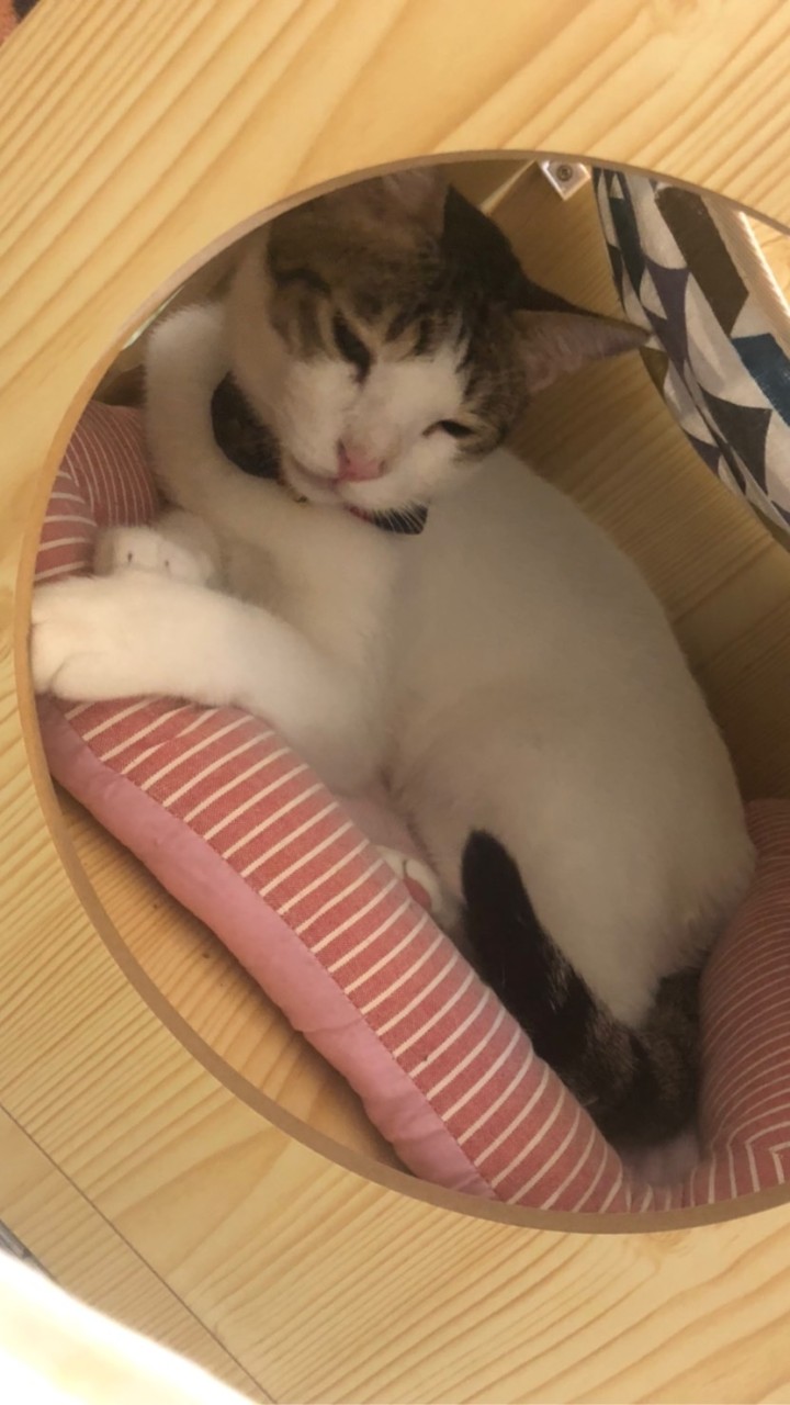 試一下