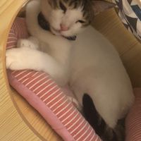 試一下