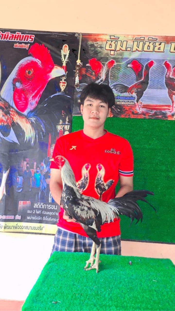 ซุ้ม มีชัย ฟาร์ม พม่าสายตี