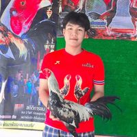 ซุ้ม มีชัย ฟาร์ม พม่าสายตี