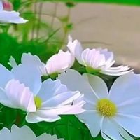 หอพักBetter