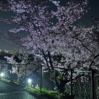 【誰でも参加どうぞ】スピリチュアル界隈、術師育成所(雑談可)