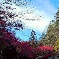 旅遊促銷團 玩得齊