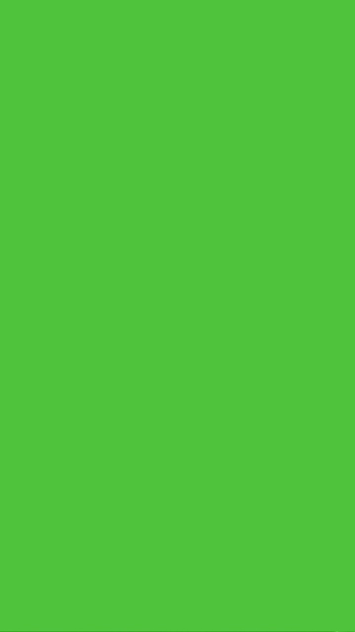 GREEN( BIZ BASH )