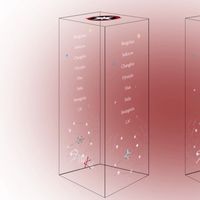 Fullin208-指南針展示盒