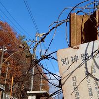 近江鉄道愛好家によるオプ