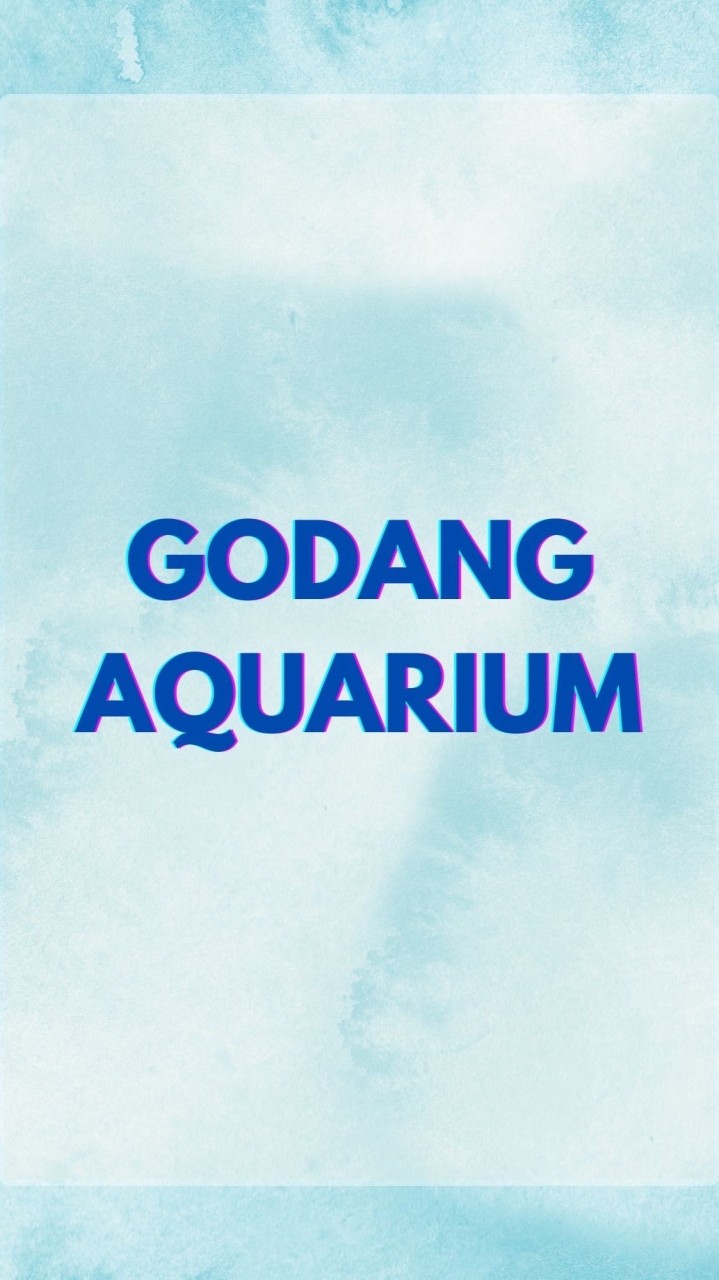 GodangAquarium