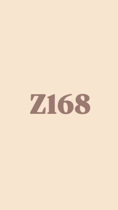 Z168