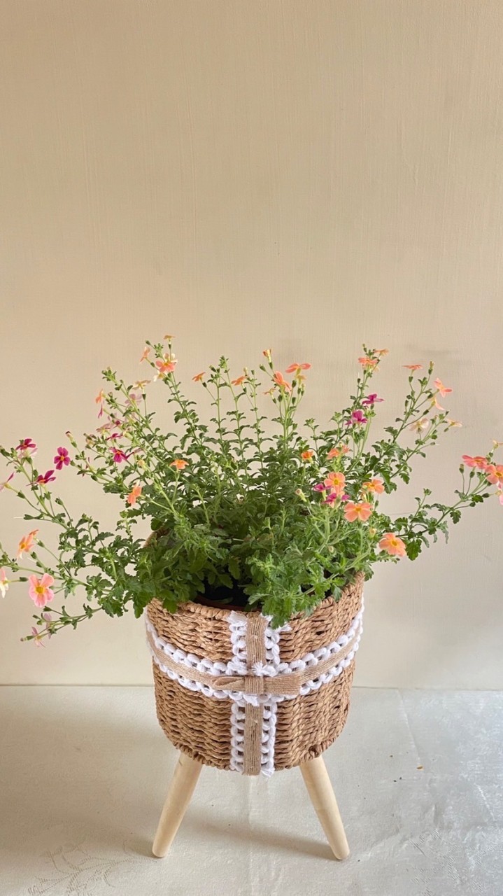 （竹北）花&蔬菜團購