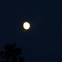 最近病み気味の人ぉ集まれぇい