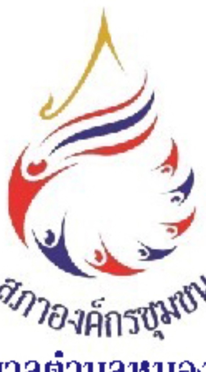 สภาองค์กรชุมชนเทศบาลตำบลหนองสามวัง