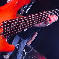 Bassroom Bassplayer