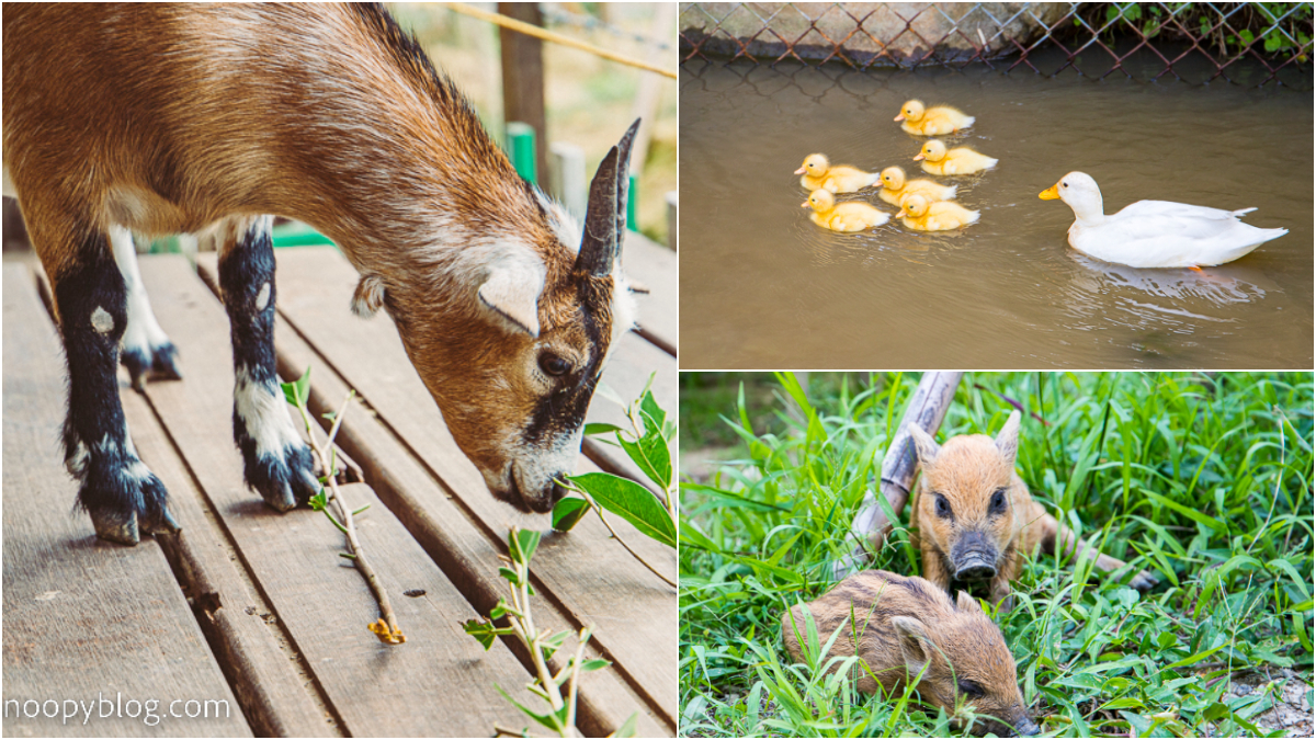 別只逛金山老街！新北人私藏６大祕境：無敵海景公車亭、全台戶外最大美術館