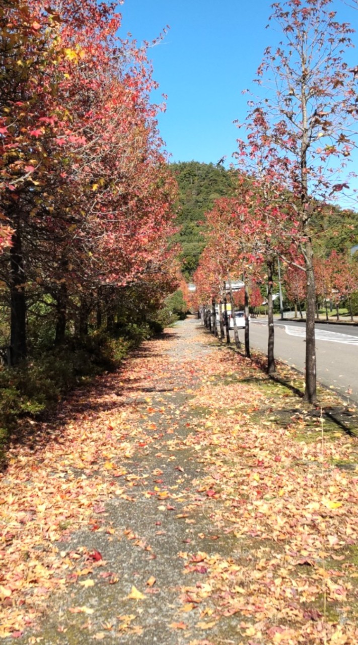 岐阜県民の拠り所