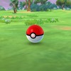 Staff Event Pokemon