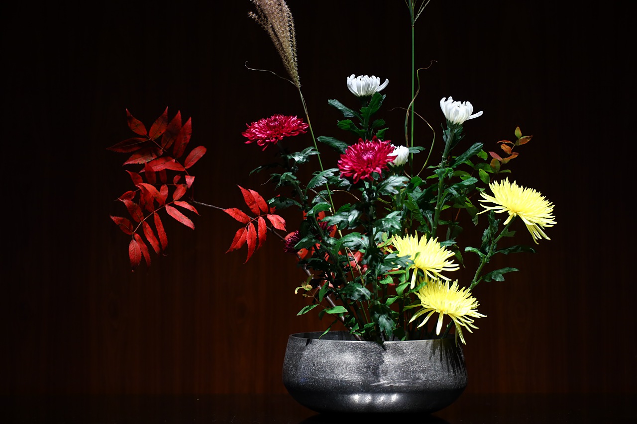 Canon EOS R 實戰測試：高ISO／追焦連拍／直出發色／防手震實拍評測