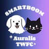 Auralis 🩵 SmartBoom