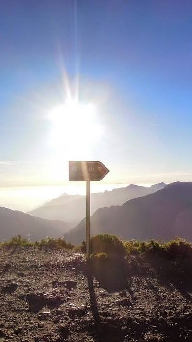 洪先生/ 詹社工