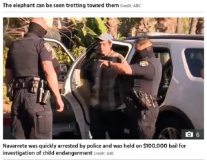 動物園で2歳娘を連れて柵を乗り越えた父親にゾウが猛突進 米 動画あり