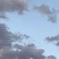 MBTI男女のおはなし