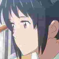 君の名は、脚本、曲、漫画、絵、声入れ