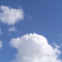 生活音オーディション