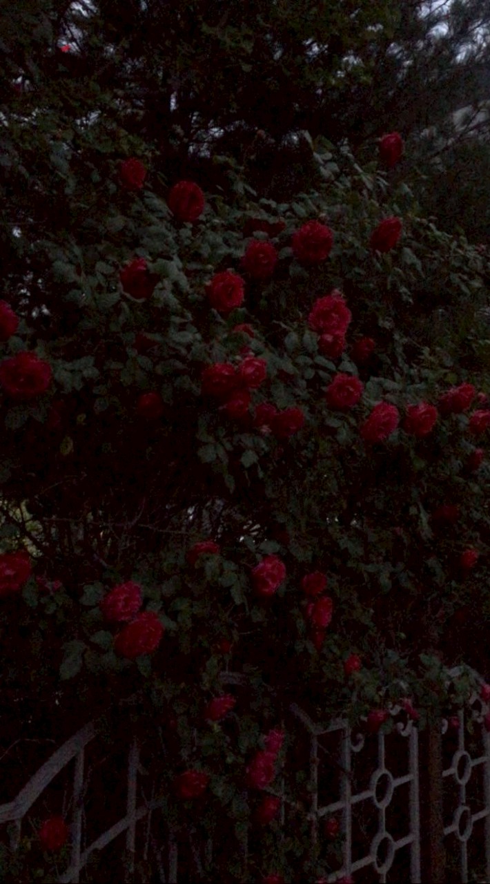 激重感情持ってこい ‼️🫵🏻 桃源暗鬼激緩也ハーント っ 💗💗💗