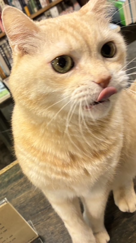 落地生花書市集（工作）