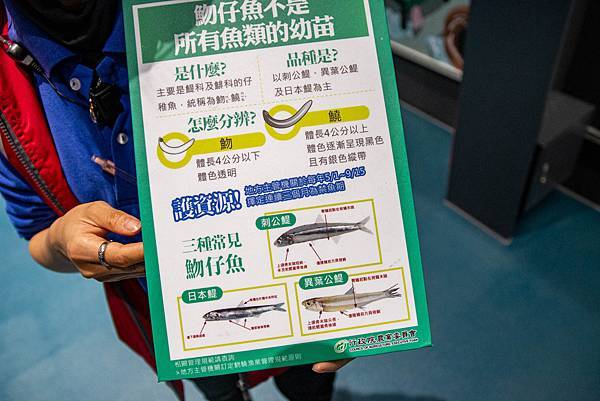 【宜蘭景點】溪和水產觀光工廠-2021年全新開幕！好玩又有趣的漫畫式簡介，多種免費海鮮試吃，飯糰ＤＩＹ與現煮海鮮ＤＩＹ活動玩不膩，美味多種魚料理，門票全抵消費的必玩室內景點