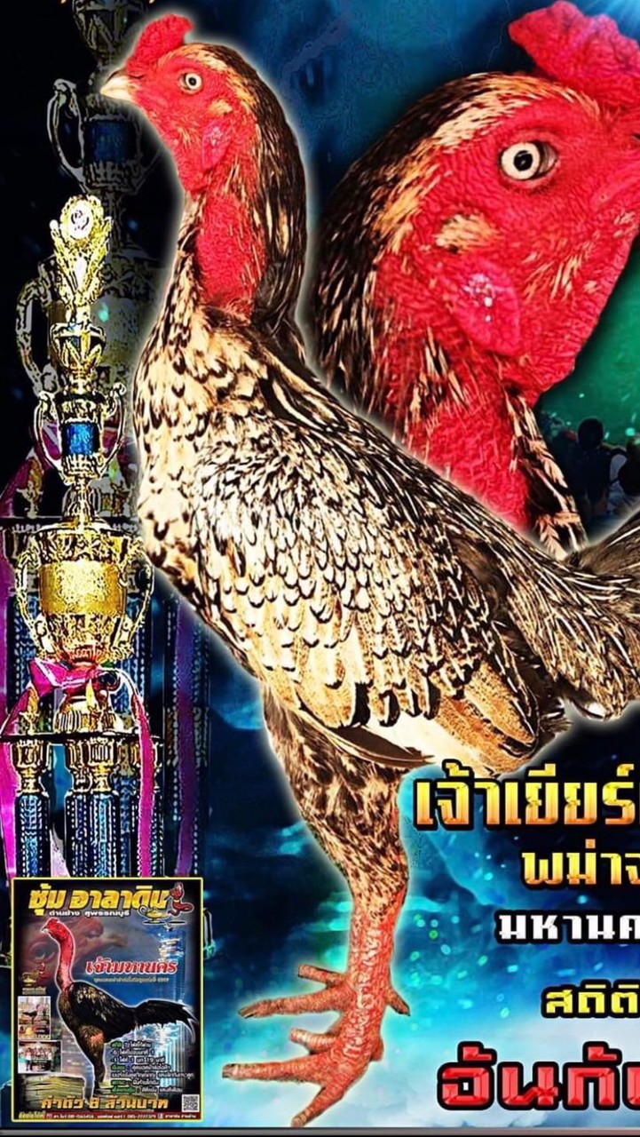 ซุ้ม เทพศิลา จ.ศรีสะเกษ