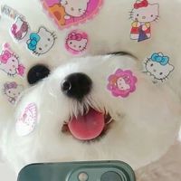 🐻 รับหิ้วสินค้า ส่งต่อสิ้นค้า By Agape