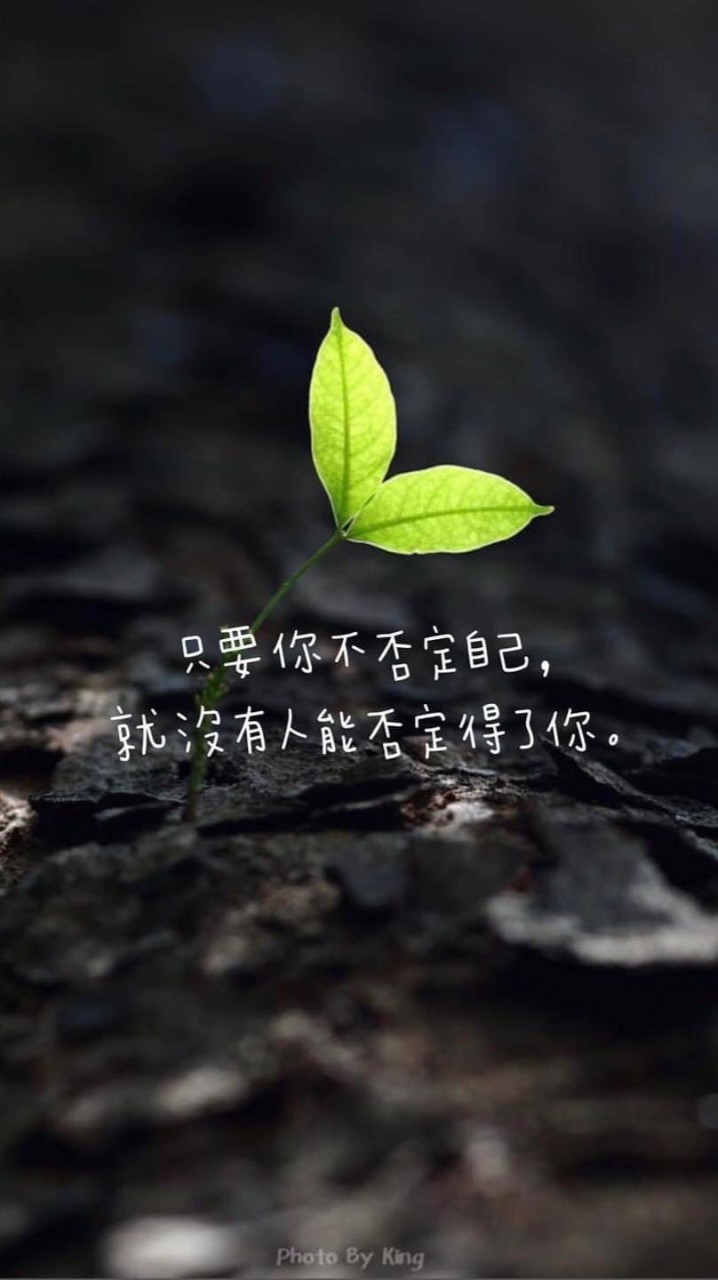 懟人技術交流