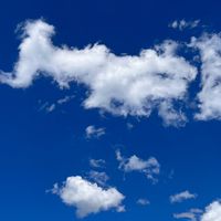 みんなの村づくりネットワーク北陸エリア