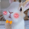 🐇9-12月兔寶媽咪們報到喇🍼