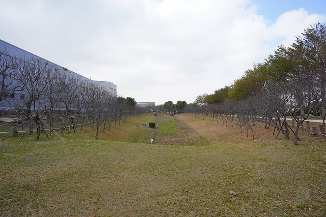 崴立機電櫻花公園
