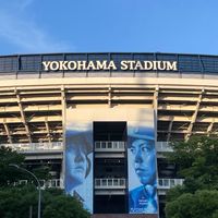 横浜フォト⭐️倶楽部💫