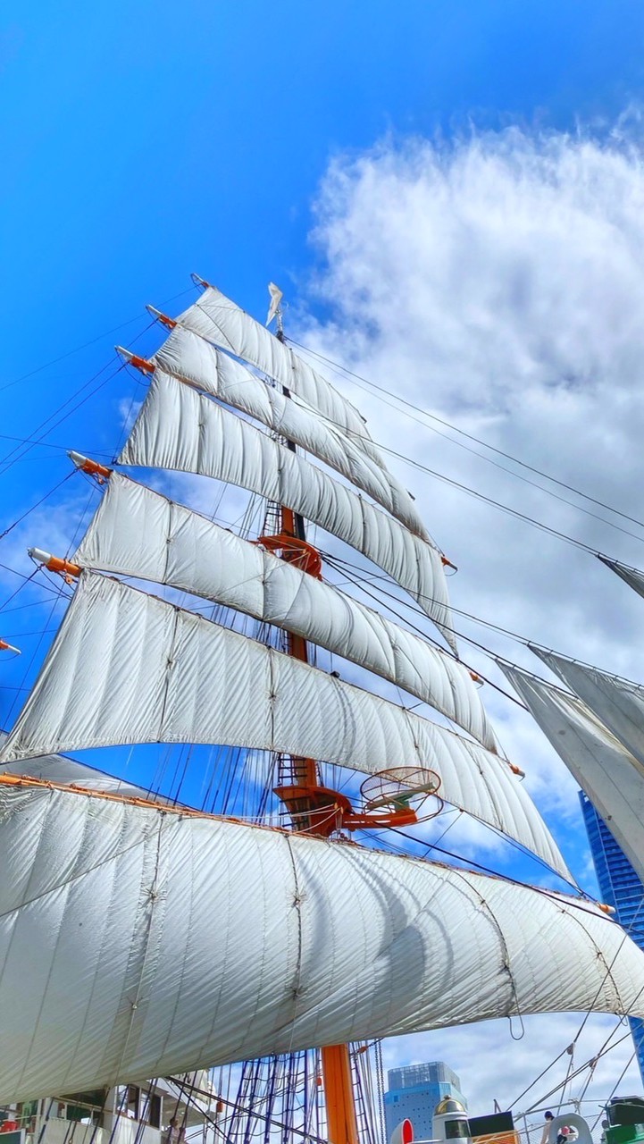 横浜フォト⭐️倶楽部💫