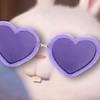 เเลกไลค์+เเลกฟอล ไอจี