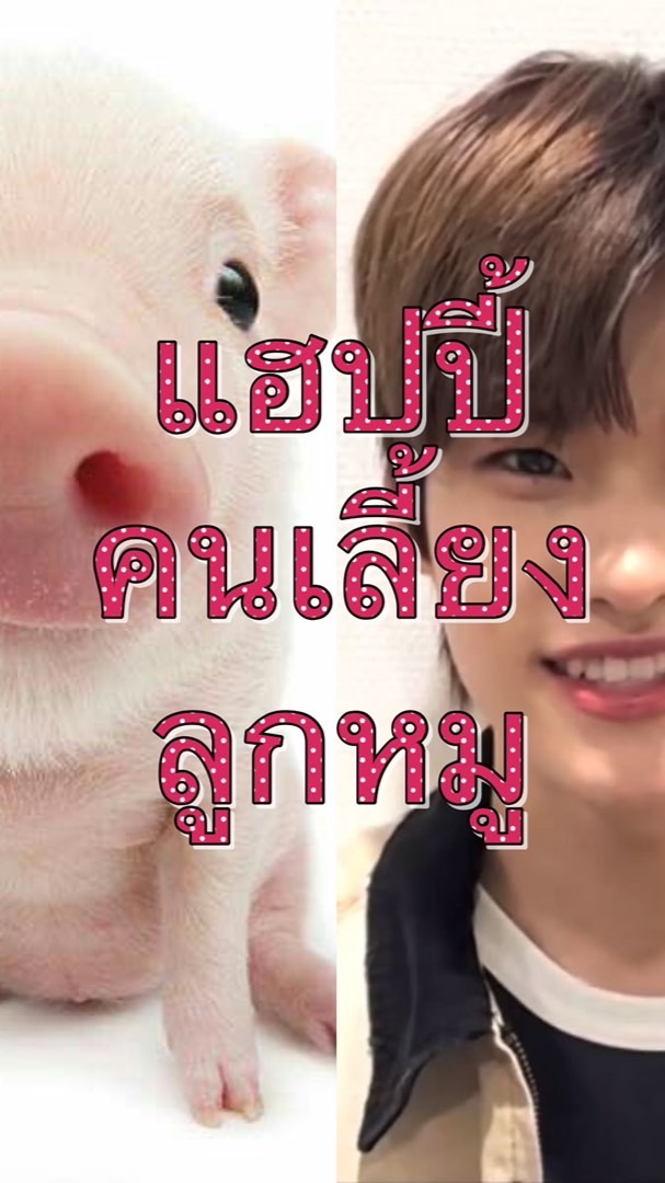 แฮปปี้คนเลี้ยงลูกหมู