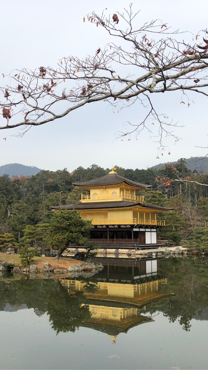 NIPPON