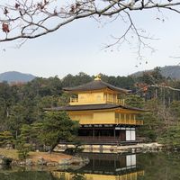 NIPPON